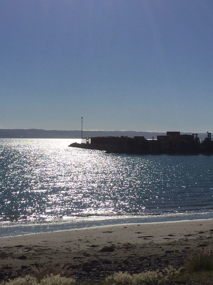 Breakwater Apartments Napier Exterior foto